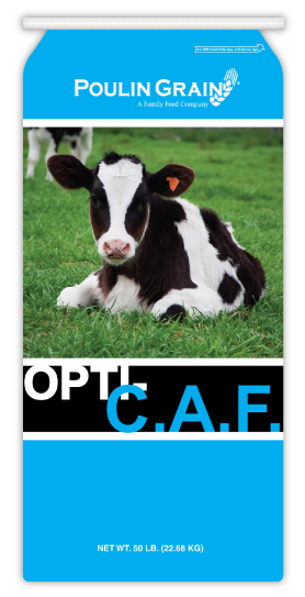 Poulin Grain Opti-C.A.F. Textured Calf Starter