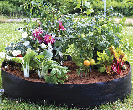 Smart Pot Big Bag Round Fabric Raised Bed - 50" diameter
