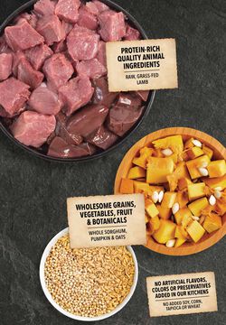 ACANA Singles Wholesome Grains, Lamb & Pumpkin Recipe, Limited Ingredient Diet Dry Dog Food