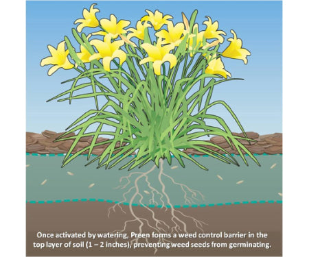 Preen Garden Weed Prevention