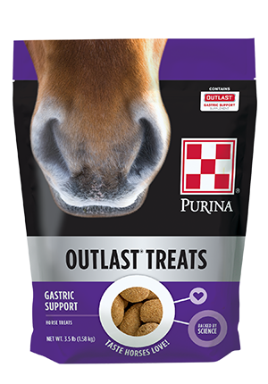 Purina Outlast® Horse Treats
