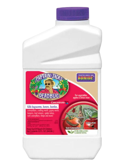 Captain Jack's Deadbug Brew