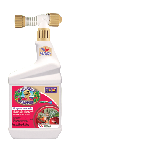 Captain Jack's Deadbug Brew
