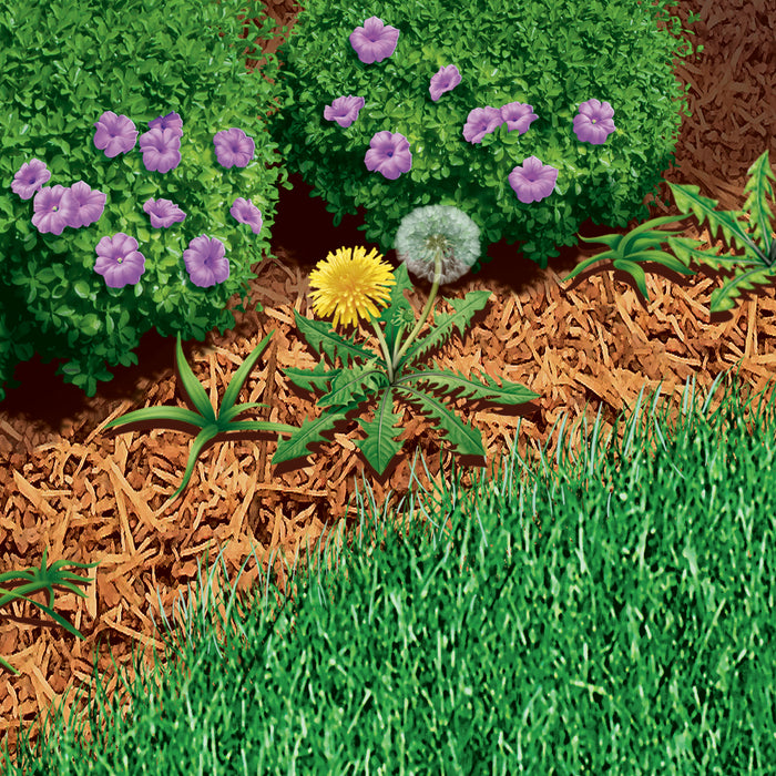 Roundup® Ready-To-Use Weed & Grass Killer III Refill 1.25 gal.
