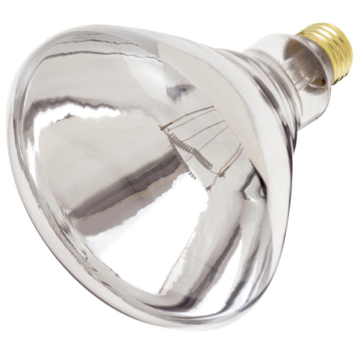 Clear Heat Lamp Bulb