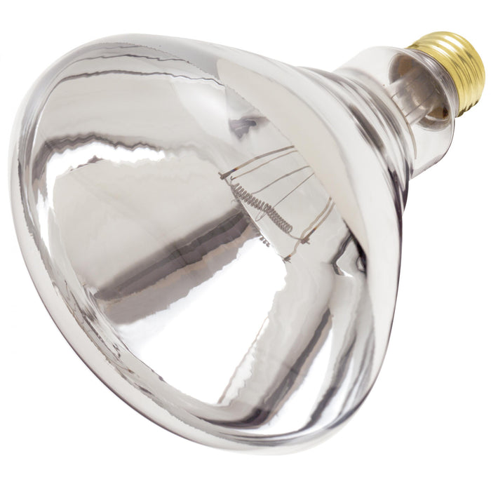 Clear Heat Lamp Bulb