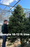 10-12 ft Balsam Fir Fresh Cut Christmas Tree - Green/Orange Tag