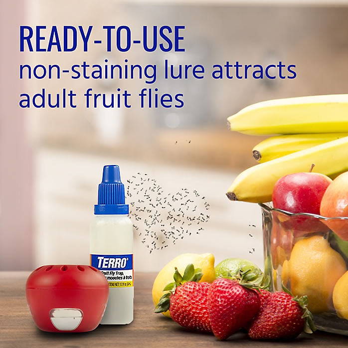 TERRO Fast-Acting Fruit Fly Trap, 2pk