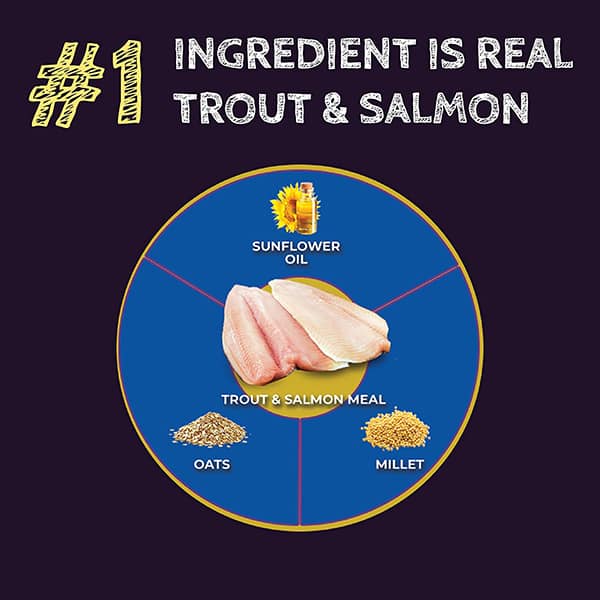 Zignature Select Cuts Trout and Salmon Meal Dry Dog Food