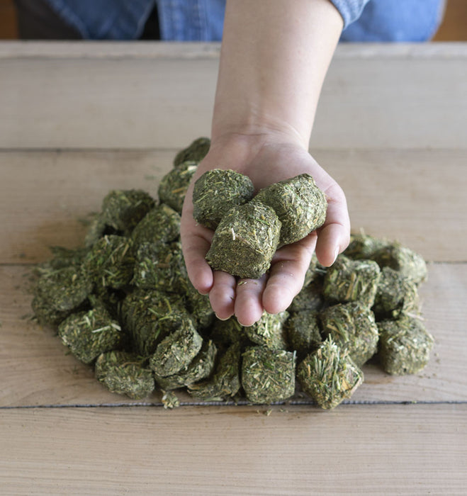 Triple Crown Alfalfa Cubes