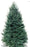 6-7 ft Balsam Fir Fresh Cut Christmas Tree - Yellow Tag