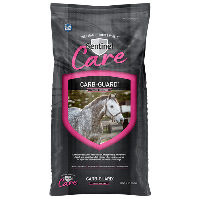 Blue Seal Carb-Guard
