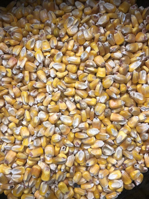 Whole Corn All Brands