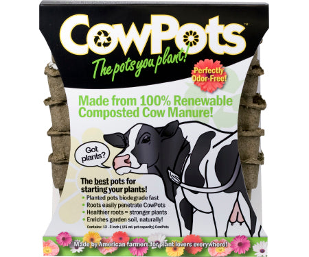 CowPots Square 3" - 12 pack