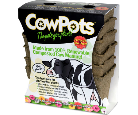 CowPots Square 4" - 12 pack