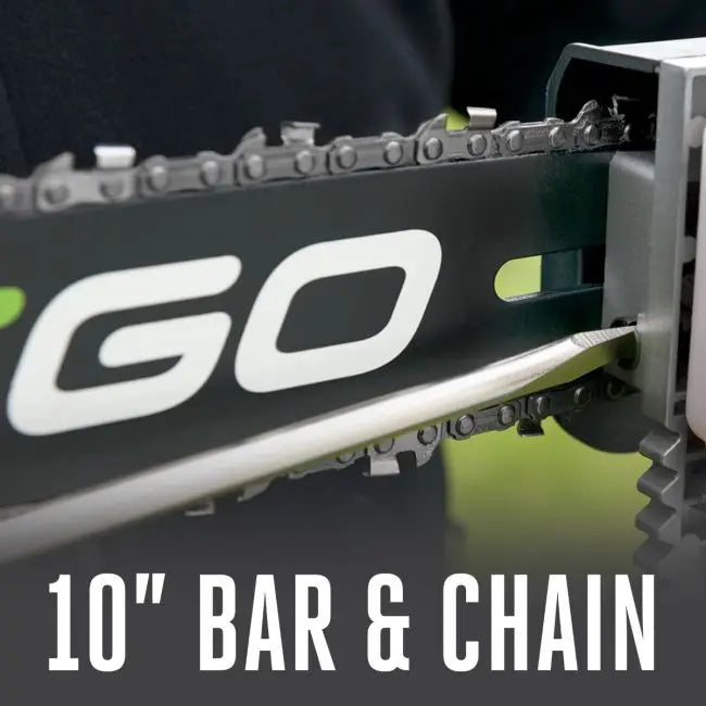EGO 10" Pole Saw for Multi-Head System