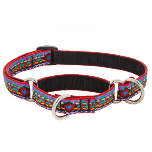 El Paso Training Collar