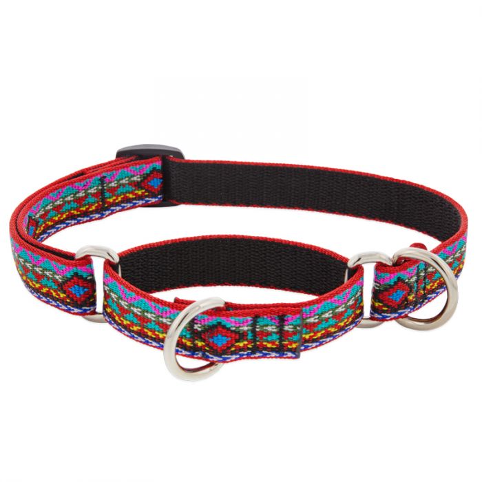 El Paso Training Collar