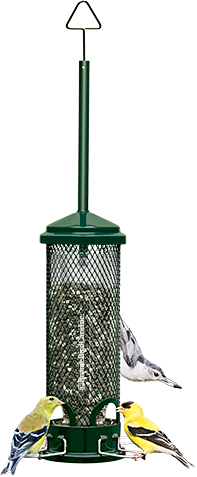 Squirrel Buster Mini