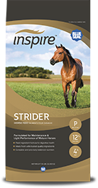 Blue Seal Inspire Strider