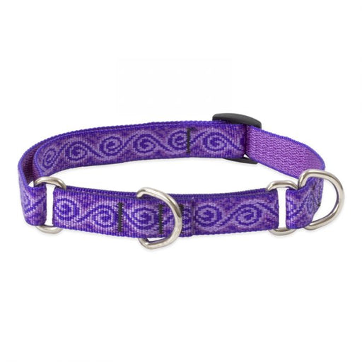 Jelly Roll Training Collar