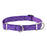Jelly Roll Training Collar