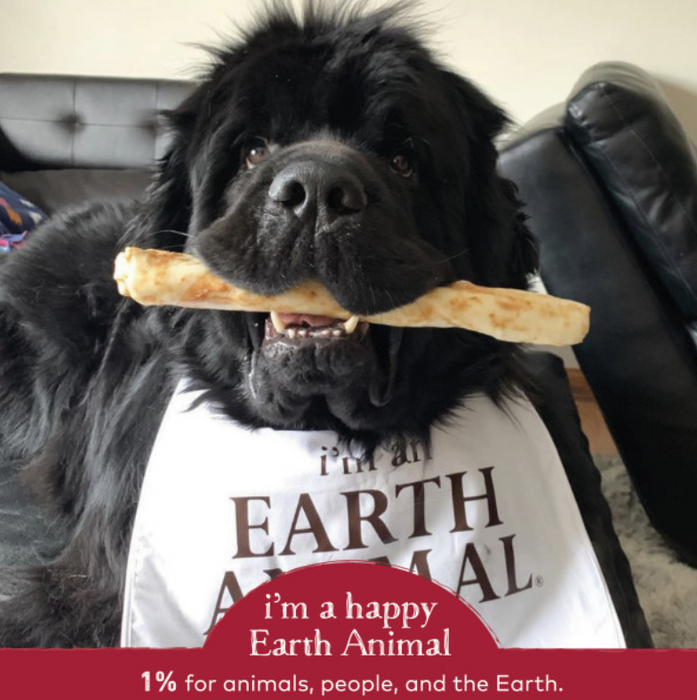 Earth Animal Beef No-Hide Wholesome Dog Chews - Large, 11"