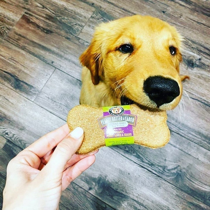 Nature's Animals Biscut 4" Cheddar