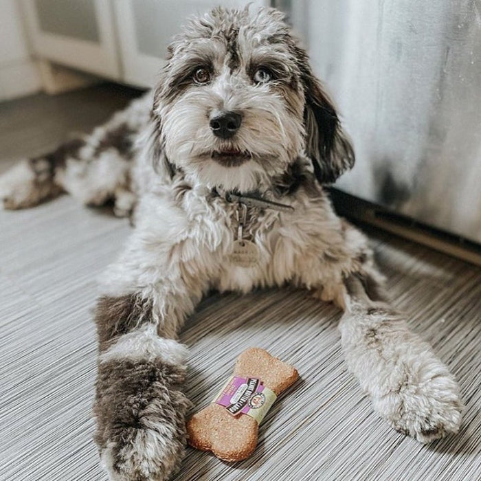 Nature's Animals Biscut 4" Peanut Butter & Carob
