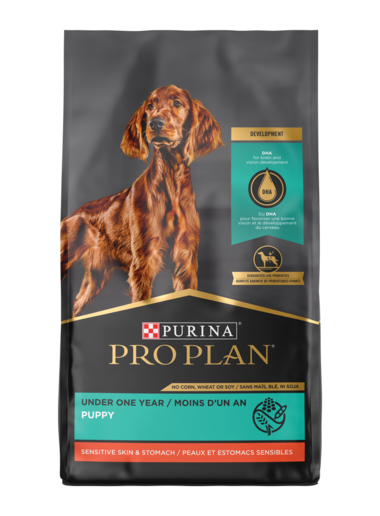 Purina Pro Plan Puppy Sensitive Skin & Stomach Salmon & Rice Formula Dry Dog Food