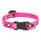1" Puppy Love Adjustable Collar
