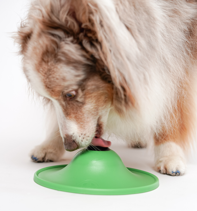 Stashios Soothing Saucer™ Kit