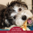 Earth Animal Beef No-Hide Wholesome Chews - Small, 4"