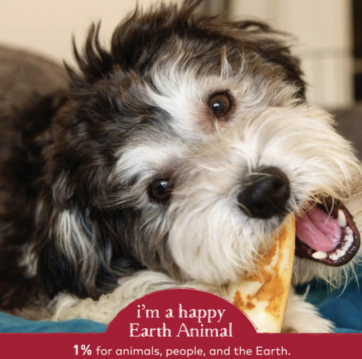 Earth Animal Beef No-Hide Wholesome Chews - Small, 4"