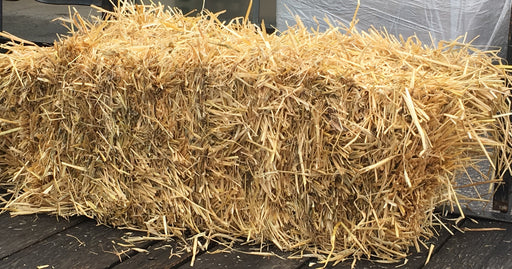Straw Bale
