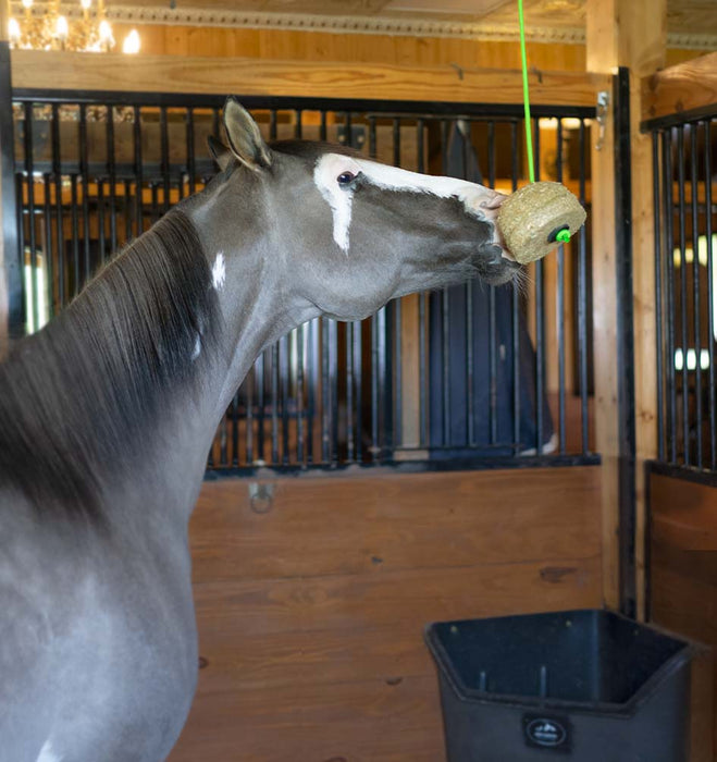 Triple Crown Tether Treats