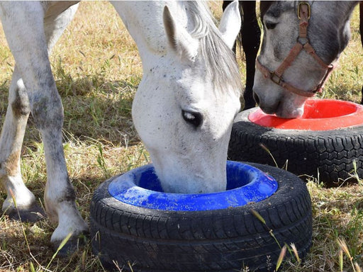 Tuff Stuff Tire Feeder for Livestock, 16qt