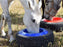 Tuff Stuff Tire Feeder for Livestock, 16qt