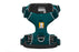Front Range™ Dog Harness, Tumalo Teal